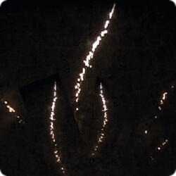 Король  шутов.