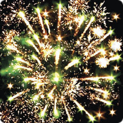 Мишка  на  севере.