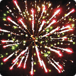 Мишка  на  севере.