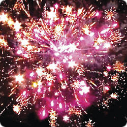 Мишка  на  севере.