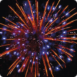 Новый  год  у  ворот.