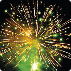 Новый  год  у  ворот.