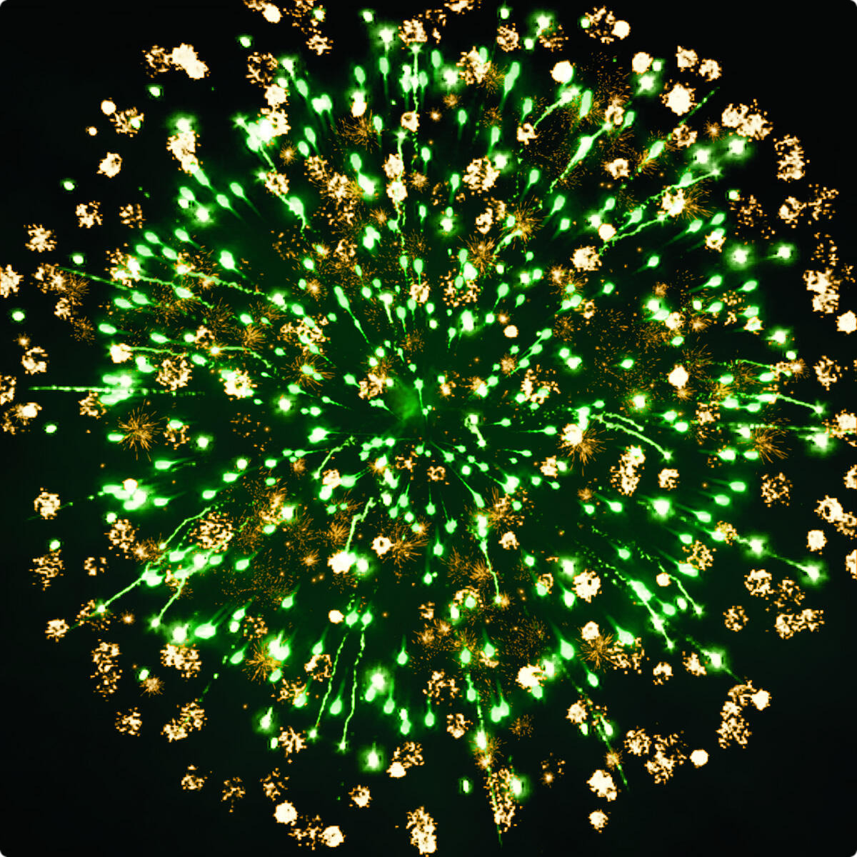 Пусть  будет  щедрым  Новый  год!