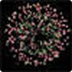 Салют  Фаберже.