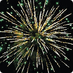 Шумный  праздник.