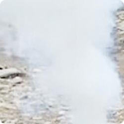 Сюрприз,  (девочка).