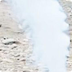 Сюрприз,  (мальчик).