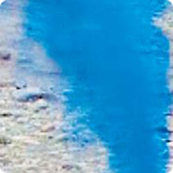 Сюрприз,  (мальчик).