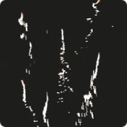 Танцуют  все!