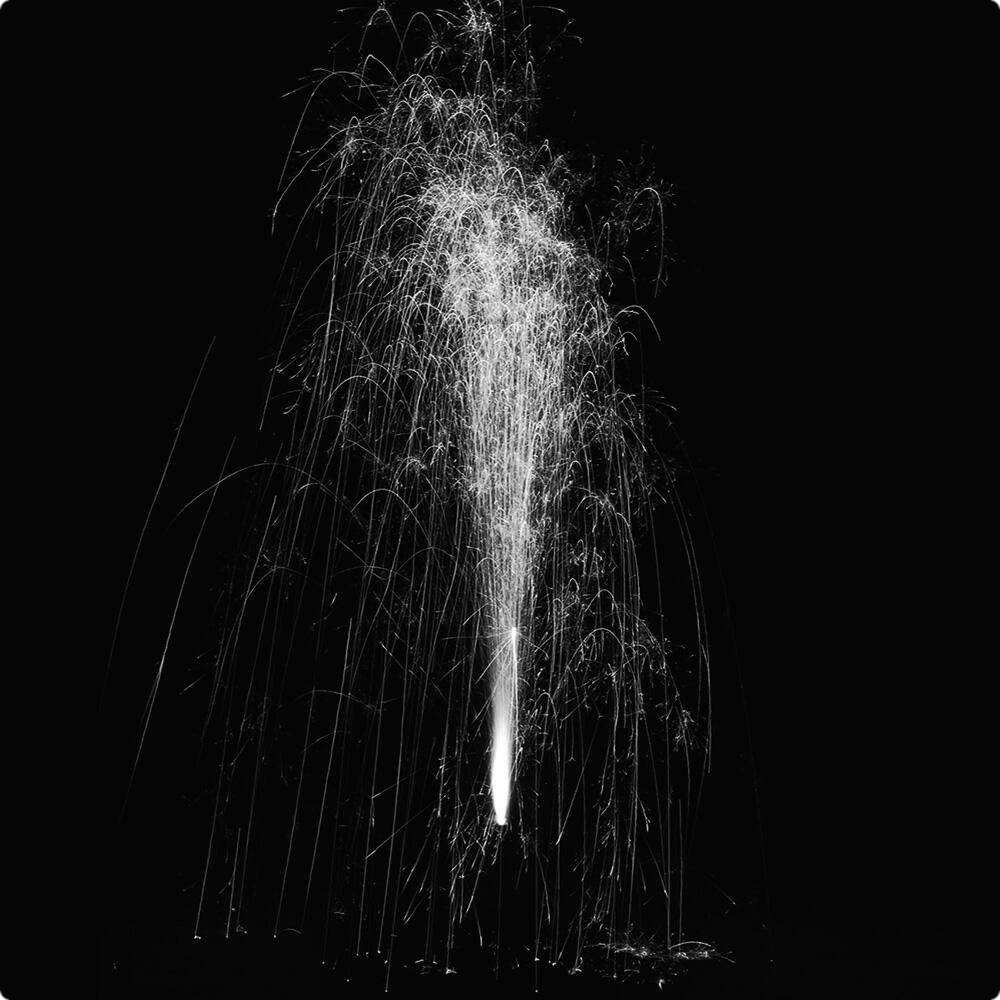 Весна  в  душе.