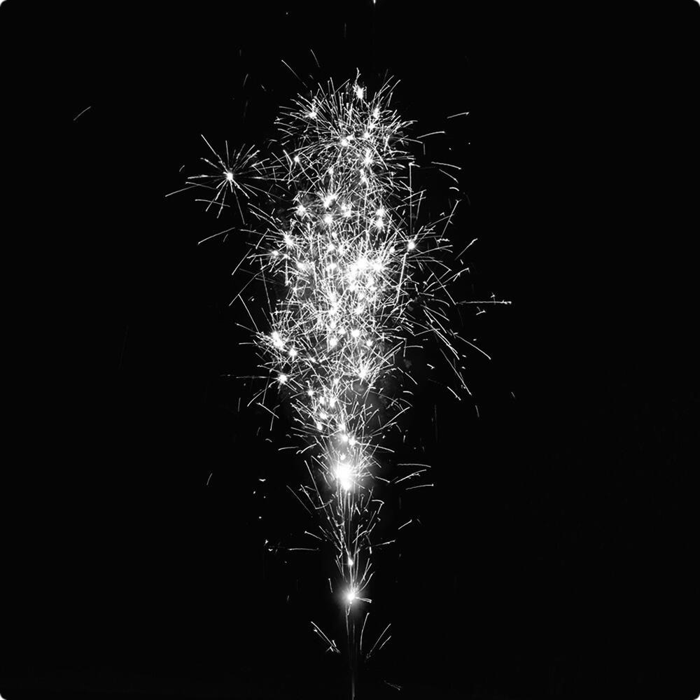 Весна  в  душе.