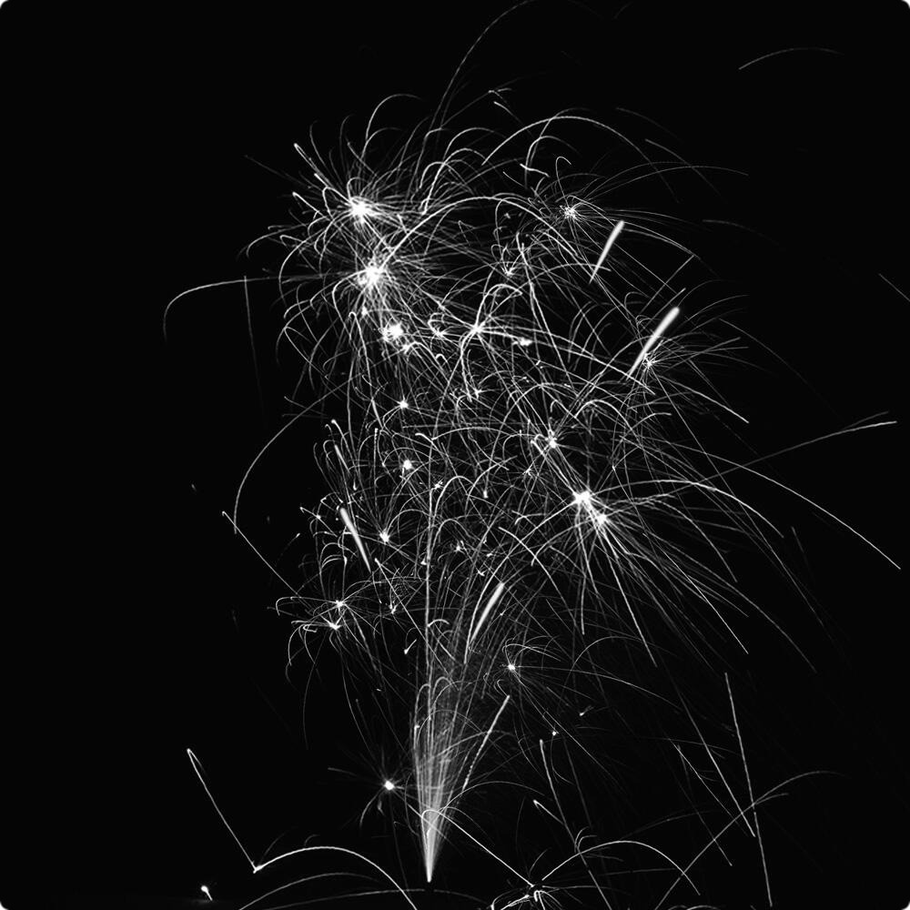 Весна  в  душе.