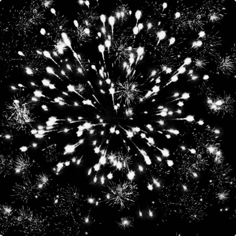 Зимняя  сказка.