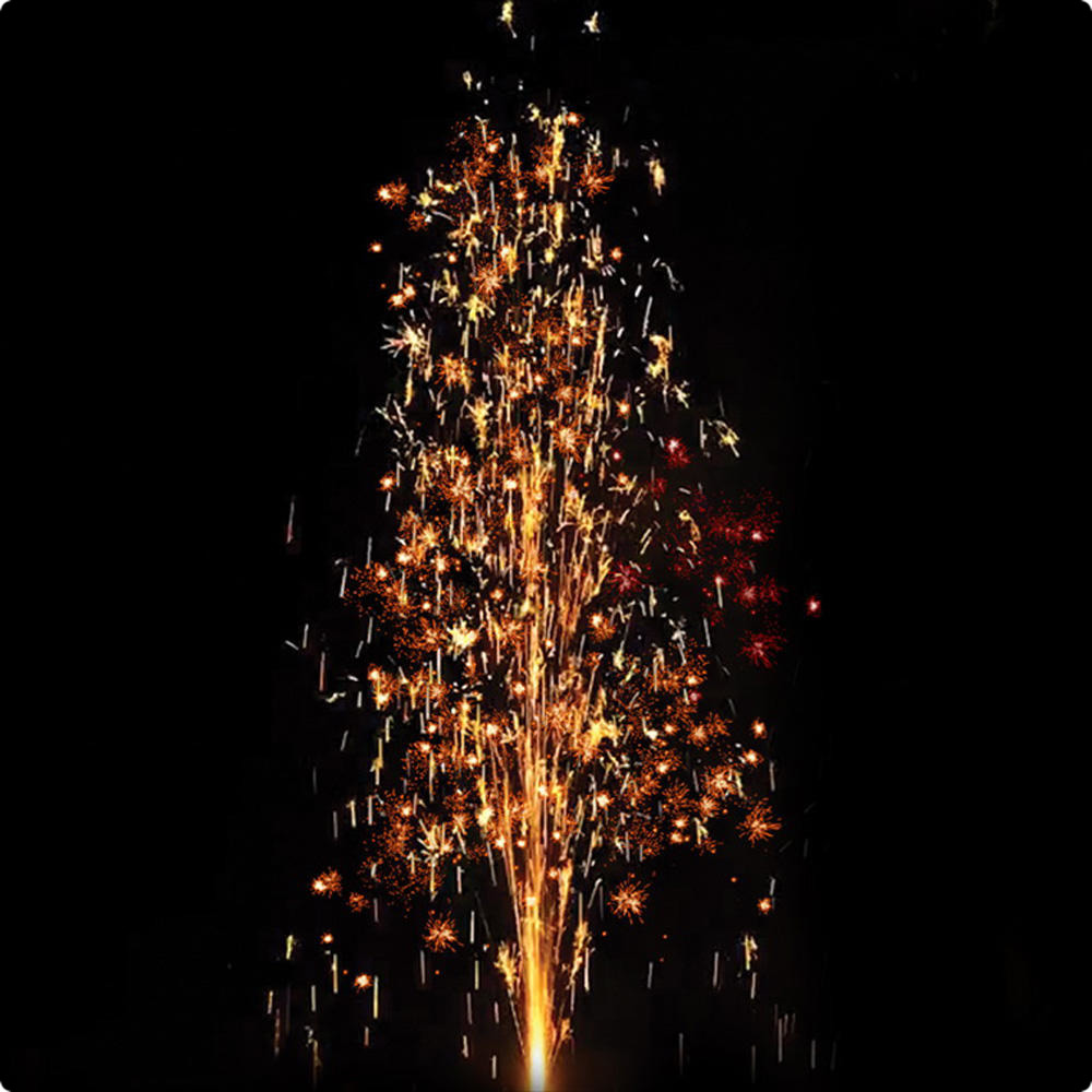 Золотые  хризантемы.