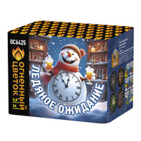 Ледяное  ожидание.