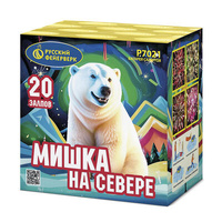 Мишка  на  севере.