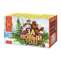 За  Новый  год!