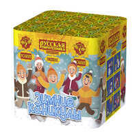 Зимние  каникулы.